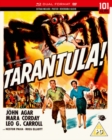 Image for Tarantula