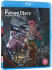 Image for The Future Diary: Complete Collection