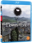 Image for Flowers of Evil