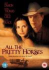 Image for All the Pretty Horses