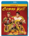 Image for Cobra Kai: Season 3