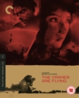 Image for The Cranes Are Flying - The Criterion Collection