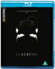 Image for Blackfish