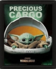 Image for Star Wars: The Mandalorian (Precious Cargo) - Framed