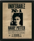 Image for Harry Potter (Harry &amp; Sirius) Framed 10 x 8&quot; 3D Lenticular Poster (Framed)