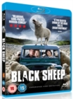 Image for Black Sheep