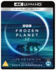 Image for Frozen Planet II