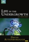 Image for David Attenborough: Life in the Undergrowth - The Complete Seires