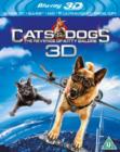 Image for Cats & Dogs: The Revenge of Kitty Galore