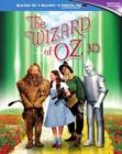 Image for The Wizard of Oz