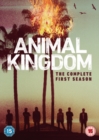 Image for Animal Kingdom: The Complete First Season