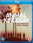 Image for Animal Kingdom: The Complete First Season