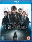 Image for Fantastic Beasts: The Crimes of Grindelwald