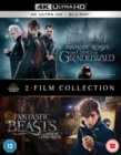 Image for Fantastic Beasts: 2-film Collection