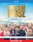 Image for Dream Horse