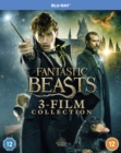Image for Fantastic Beasts: 3-film Collection