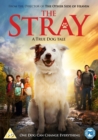 Image for The Stray