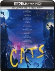 Image for Cats