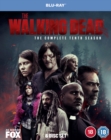 Image for The Walking Dead: The Complete Tenth Season