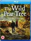 Image for The Wild Pear Tree