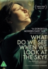 Image for What Do We See When We Look at the Sky?