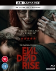 Image for Evil Dead Rise