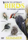 Image for How to Attract Birds to Your Garden: Summer