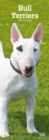 Image for BULL TERRIERS 2019 SLIM CALENDAR