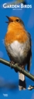 Image for GARDEN BIRDS 2019 SLIM CALENDAR