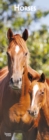 Image for HORSES 2019 SLIM CALENDAR