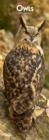 Image for OWLS 2019 SLIM CALENDAR