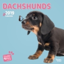 Image for DACHSHUNDS BY STUDIO P 2019 MINI WALL CA
