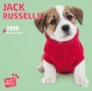 Image for JACK RUSSELLS BY STUDIO P 2019 SQUARE WA
