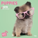 Image for PUPPIES BY STUDIO P 2019 SQUARE WALL CAL