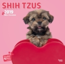 Image for SHIH TZUS BY STUDIO P 2019 SQUARE WALL C