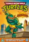 Image for Teenage Mutant Ninja Turtles: Best of Michelangelo