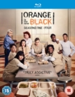 Image for Orange Is the New Black: Seasons 1-4