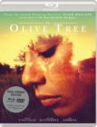 Image for The Olive Tree