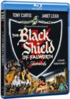 Image for The Black Shield of Falworth