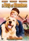 Image for A   Dog of Flanders