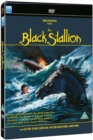 Image for The Black Stallion