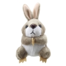 Image for Rabbit (Grey) Soft Toy