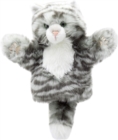 Image for Tabby Cat