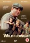 Image for Wildflower