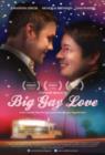 Image for Big Gay Love
