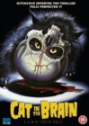 Image for Cat in the Brain