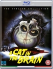 Image for Cat in the Brain