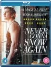 Image for Never Gonna Snow Again