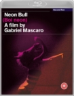 Image for Neon Bull