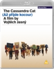 Image for The Cassandra Cat